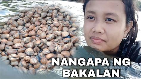 bakalan shell in english|BAKALAN: Definition of the Tagalog word bakalan in English..
